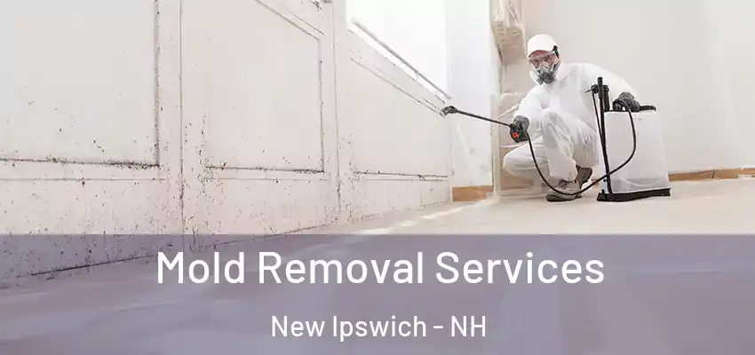 Mold Removal Services New Ipswich - NH