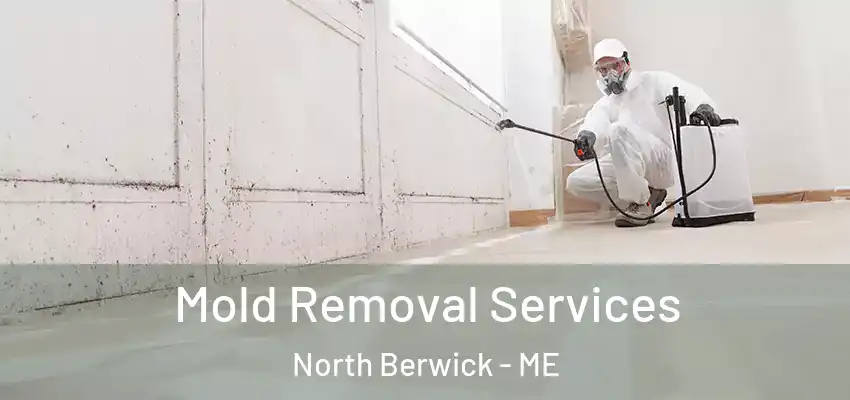  Mold Removal Services North Berwick - ME