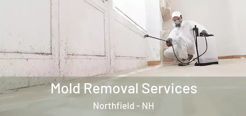  Mold Removal Services Northfield - NH