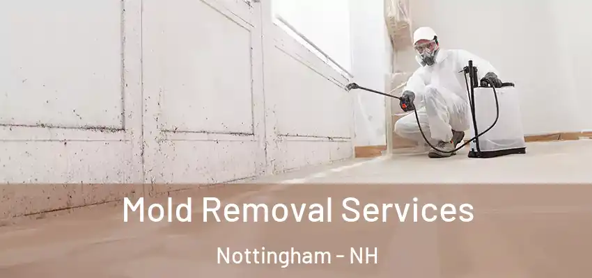  Mold Removal Services Nottingham - NH