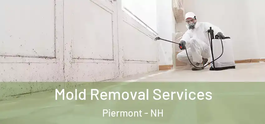 Mold Removal Services Piermont - NH