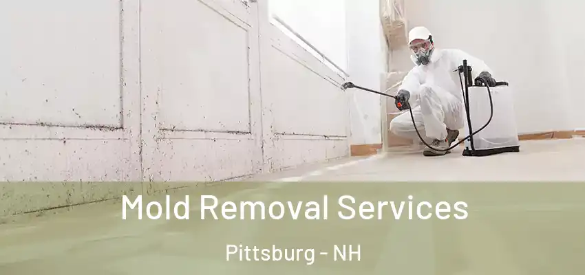 Mold Removal Services Pittsburg - NH