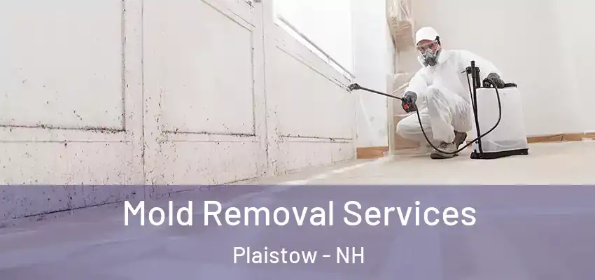 Mold Removal Services Plaistow - NH