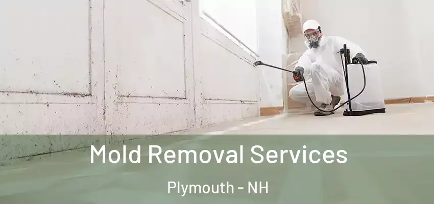 Mold Removal Services Plymouth - NH