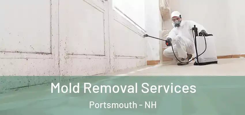 Mold Removal Services Portsmouth - NH