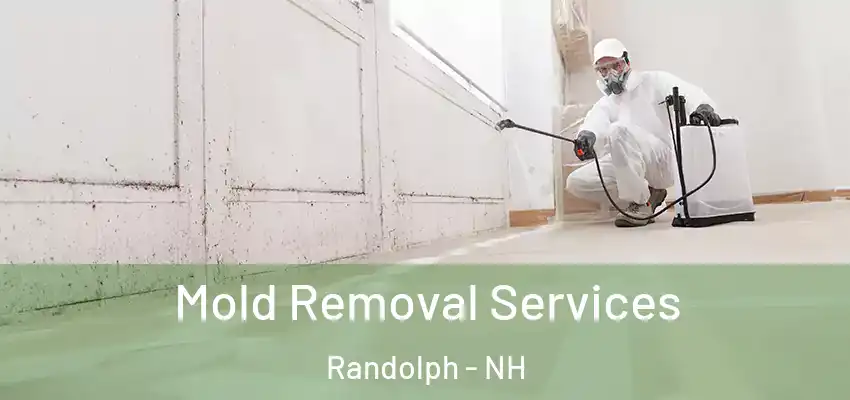 Mold Removal Services Randolph - NH