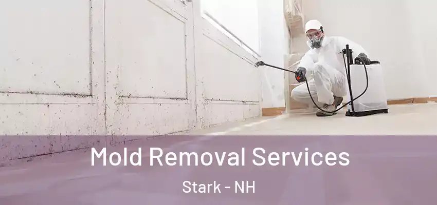 Mold Removal Services Stark - NH