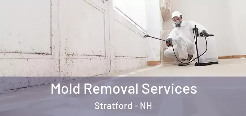 Mold Removal Services Stratford - NH
