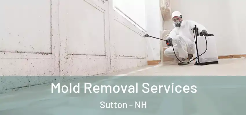  Mold Removal Services Sutton - NH