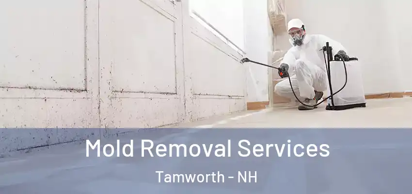 Mold Removal Services Tamworth - NH