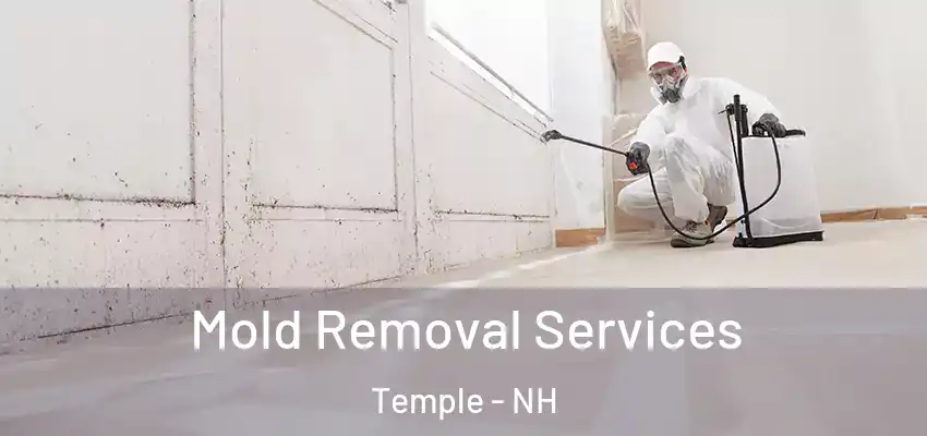  Mold Removal Services Temple - NH