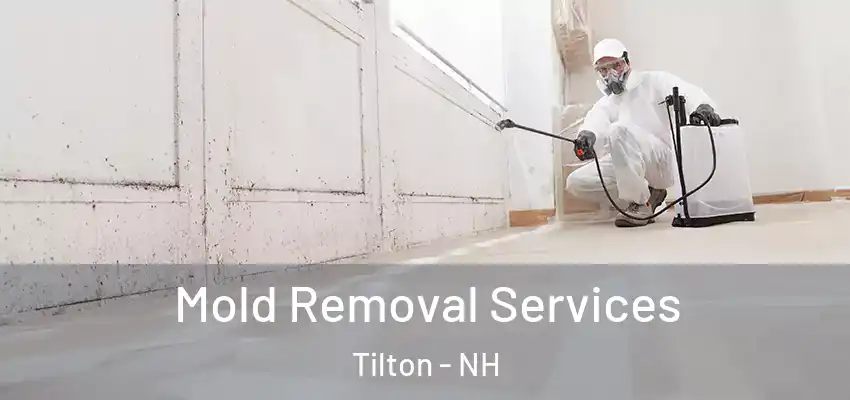  Mold Removal Services Tilton - NH