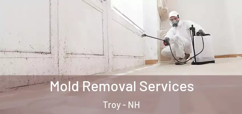  Mold Removal Services Troy - NH