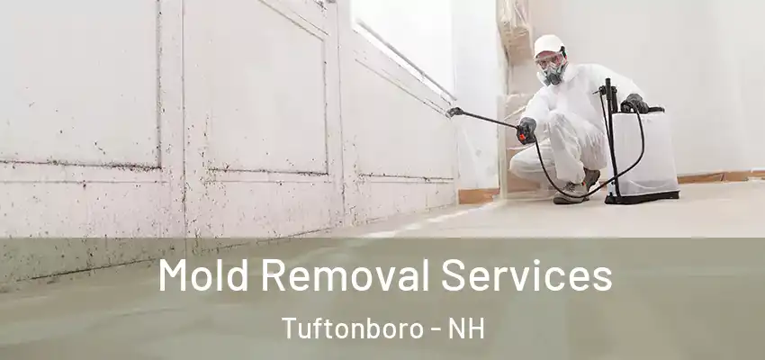 Mold Removal Services Tuftonboro - NH
