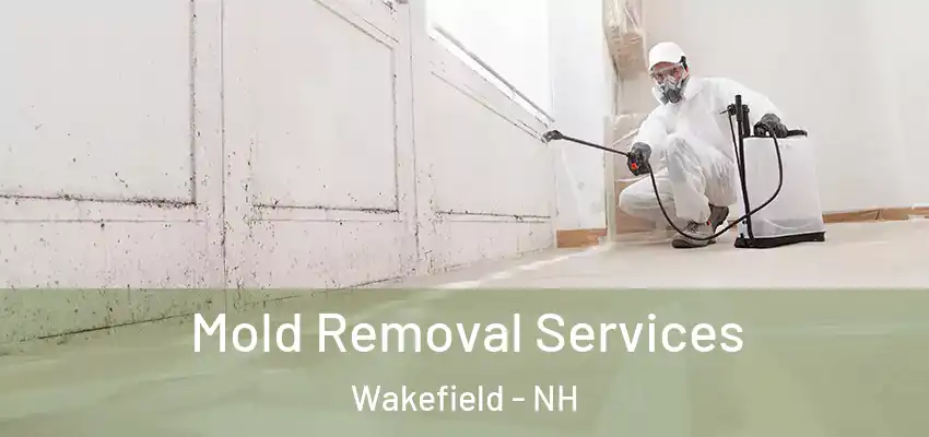  Mold Removal Services Wakefield - NH