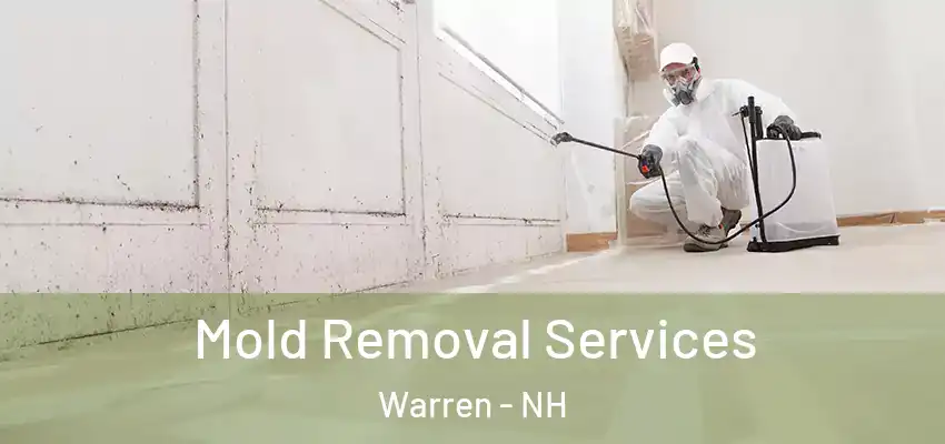 Mold Removal Services Warren - NH