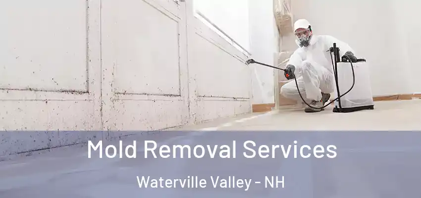  Mold Removal Services Waterville Valley - NH