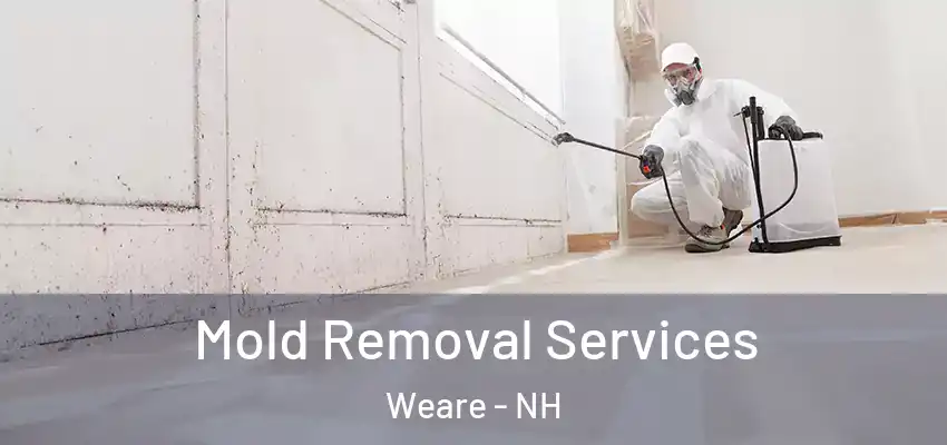  Mold Removal Services Weare - NH