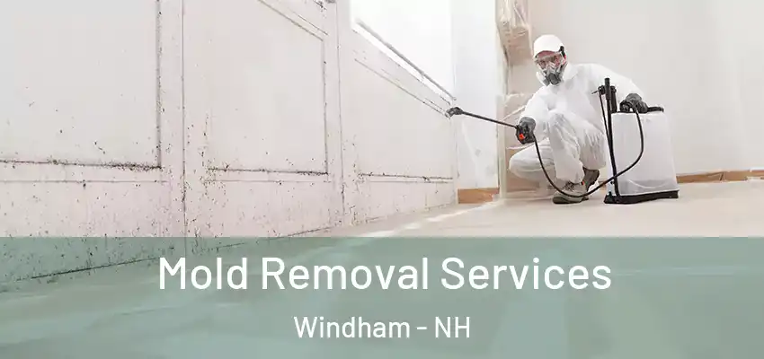  Mold Removal Services Windham - NH
