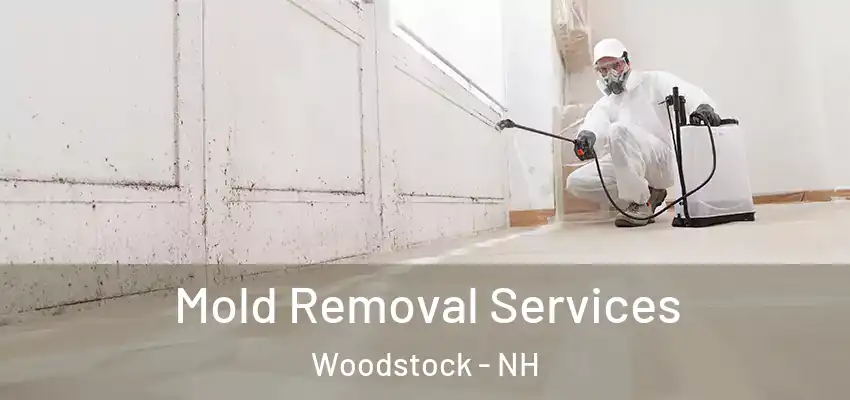  Mold Removal Services Woodstock - NH