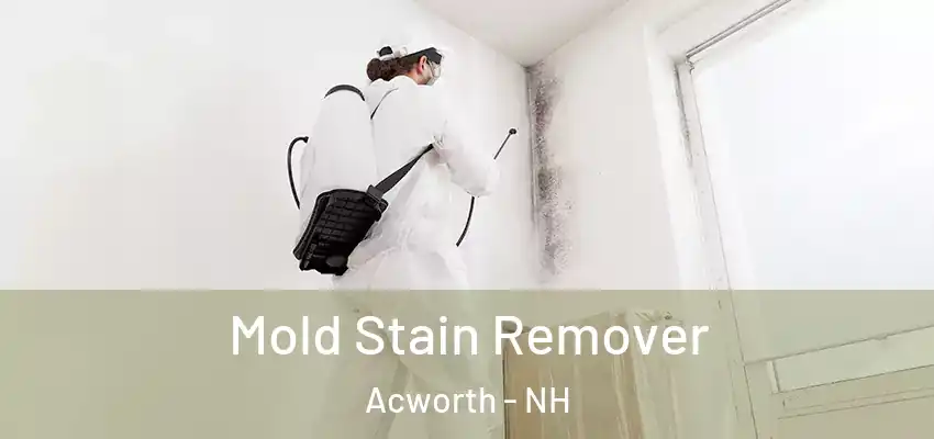 Mold Stain Remover Acworth - NH