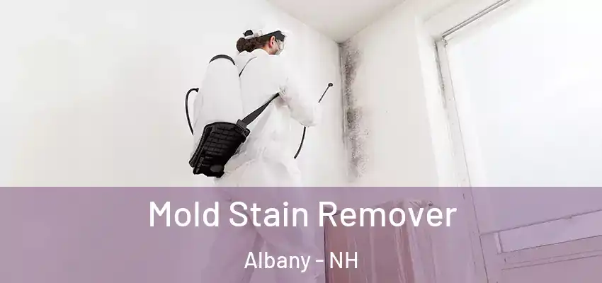 Mold Stain Remover Albany - NH