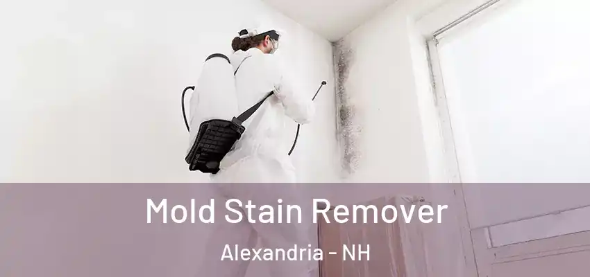  Mold Stain Remover Alexandria - NH
