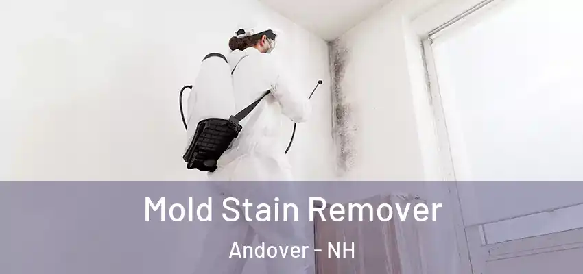  Mold Stain Remover Andover - NH