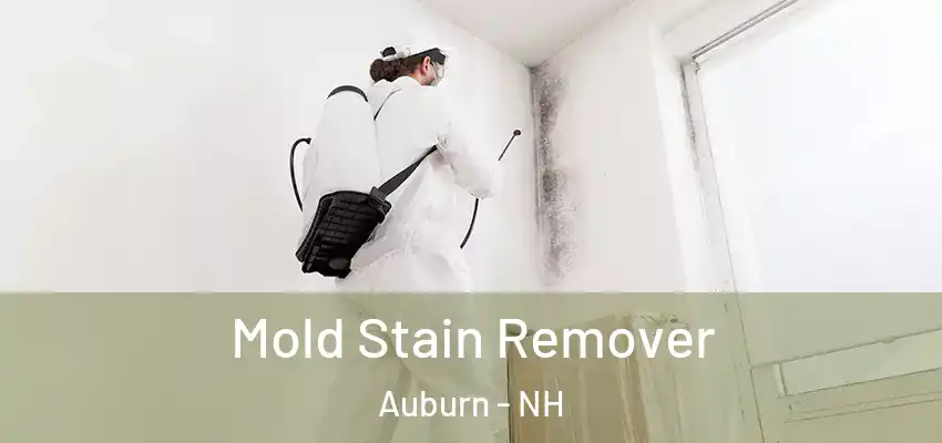 Mold Stain Remover Auburn - NH