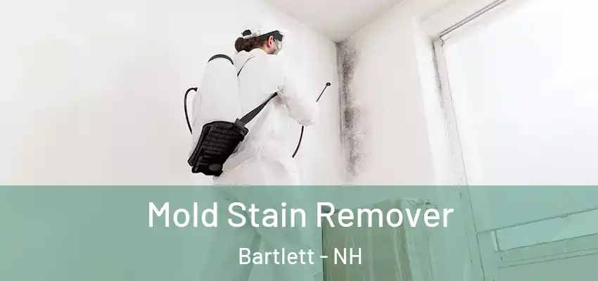 Mold Stain Remover Bartlett - NH