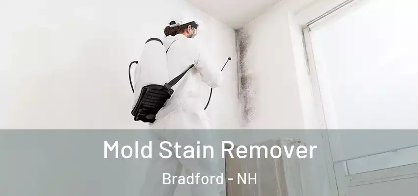  Mold Stain Remover Bradford - NH