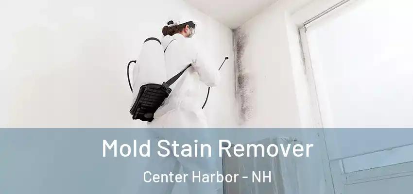  Mold Stain Remover Center Harbor - NH