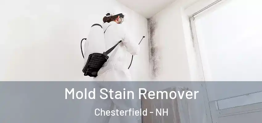  Mold Stain Remover Chesterfield - NH