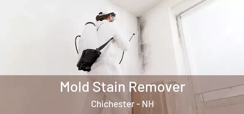  Mold Stain Remover Chichester - NH