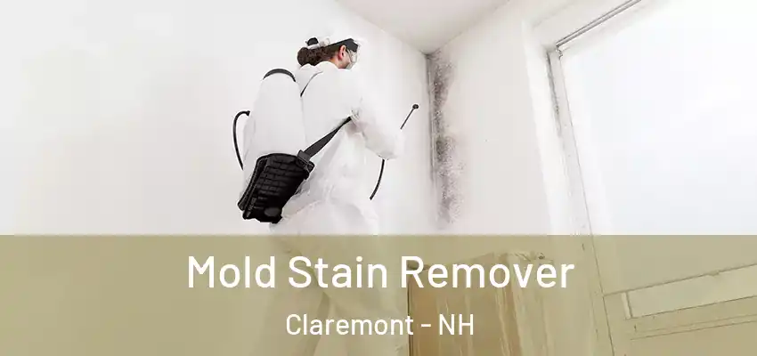 Mold Stain Remover Claremont - NH