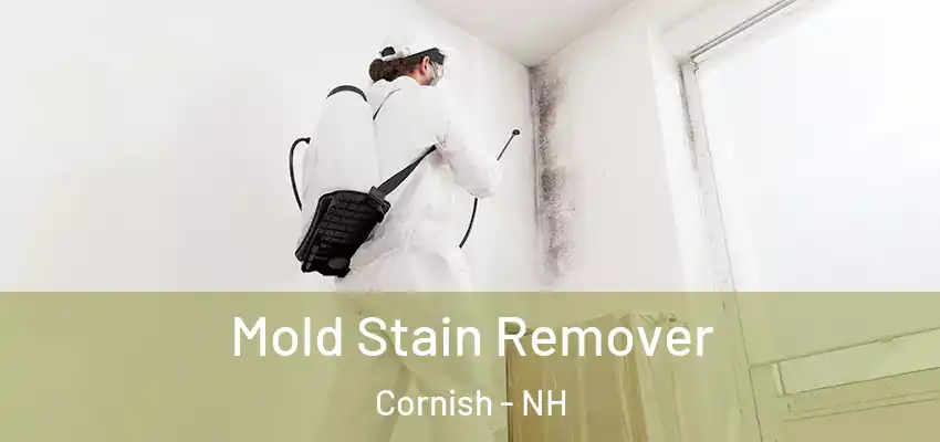  Mold Stain Remover Cornish - NH