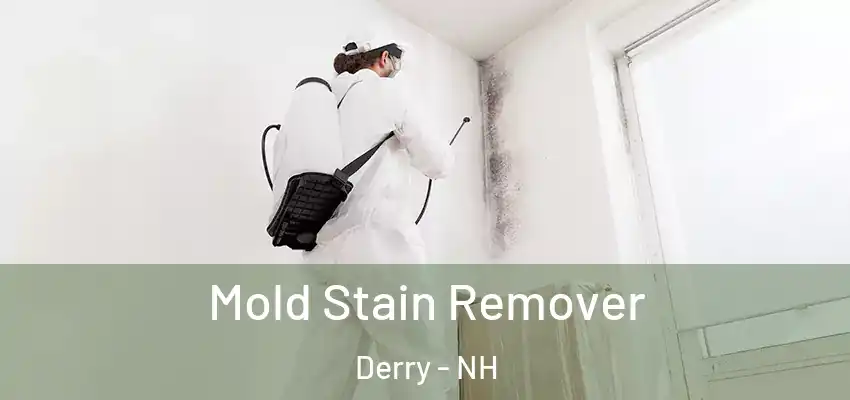  Mold Stain Remover Derry - NH