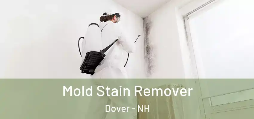  Mold Stain Remover Dover - NH
