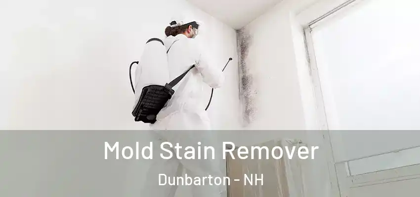  Mold Stain Remover Dunbarton - NH