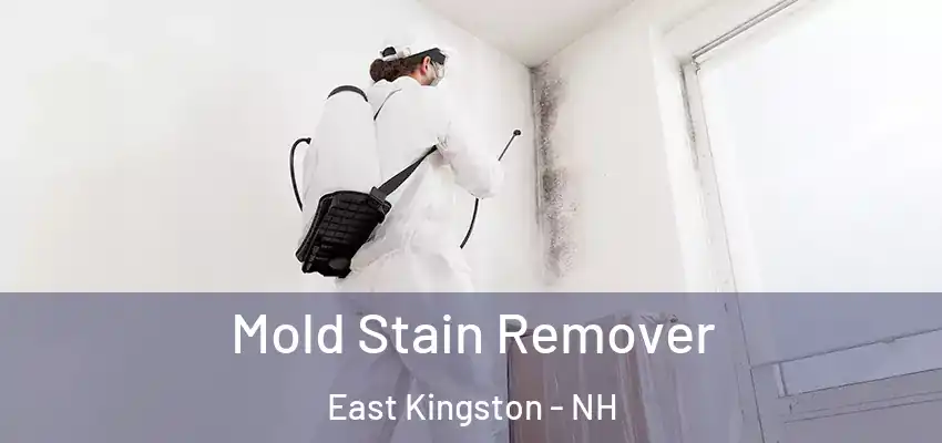  Mold Stain Remover East Kingston - NH
