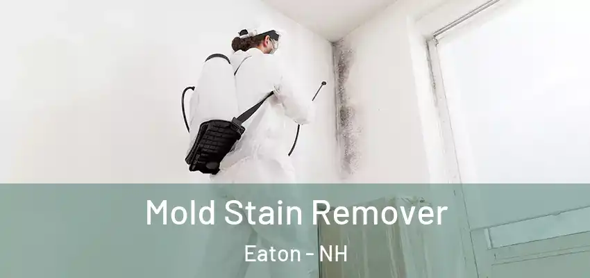 Mold Stain Remover Eaton - NH