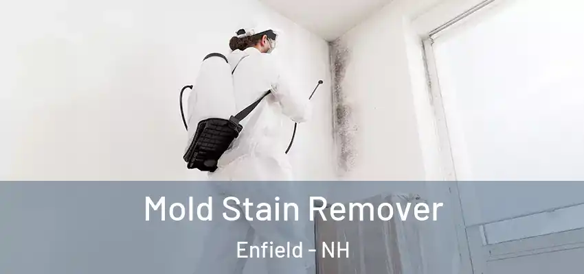  Mold Stain Remover Enfield - NH