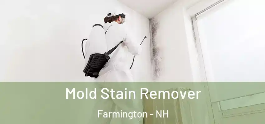  Mold Stain Remover Farmington - NH