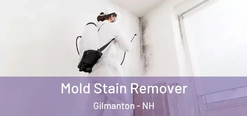  Mold Stain Remover Gilmanton - NH