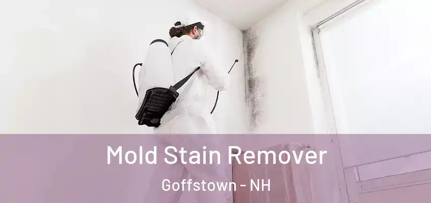  Mold Stain Remover Goffstown - NH