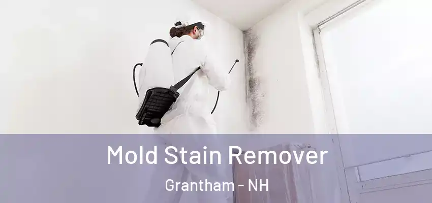 Mold Stain Remover Grantham - NH