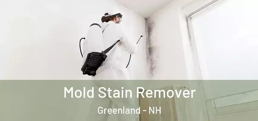  Mold Stain Remover Greenland - NH