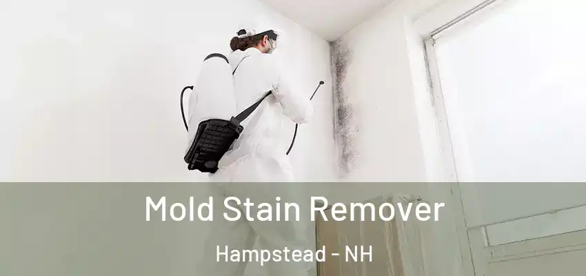  Mold Stain Remover Hampstead - NH