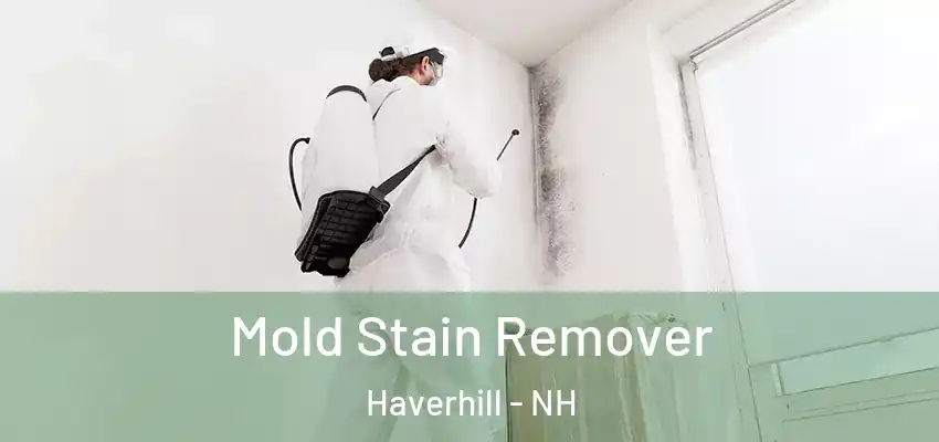  Mold Stain Remover Haverhill - NH