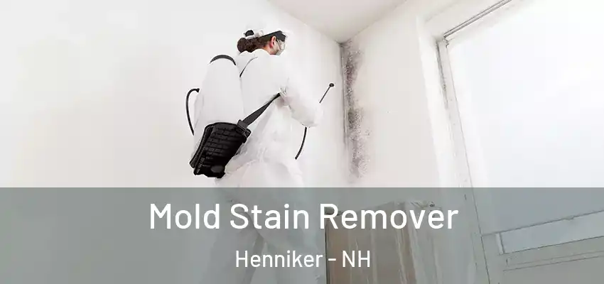  Mold Stain Remover Henniker - NH